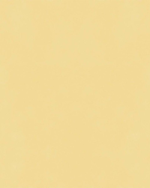 Hatte Me! Palette | 40 Chamomile